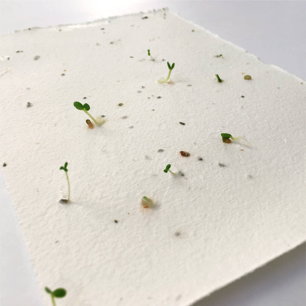 Sustainable events - seed paper